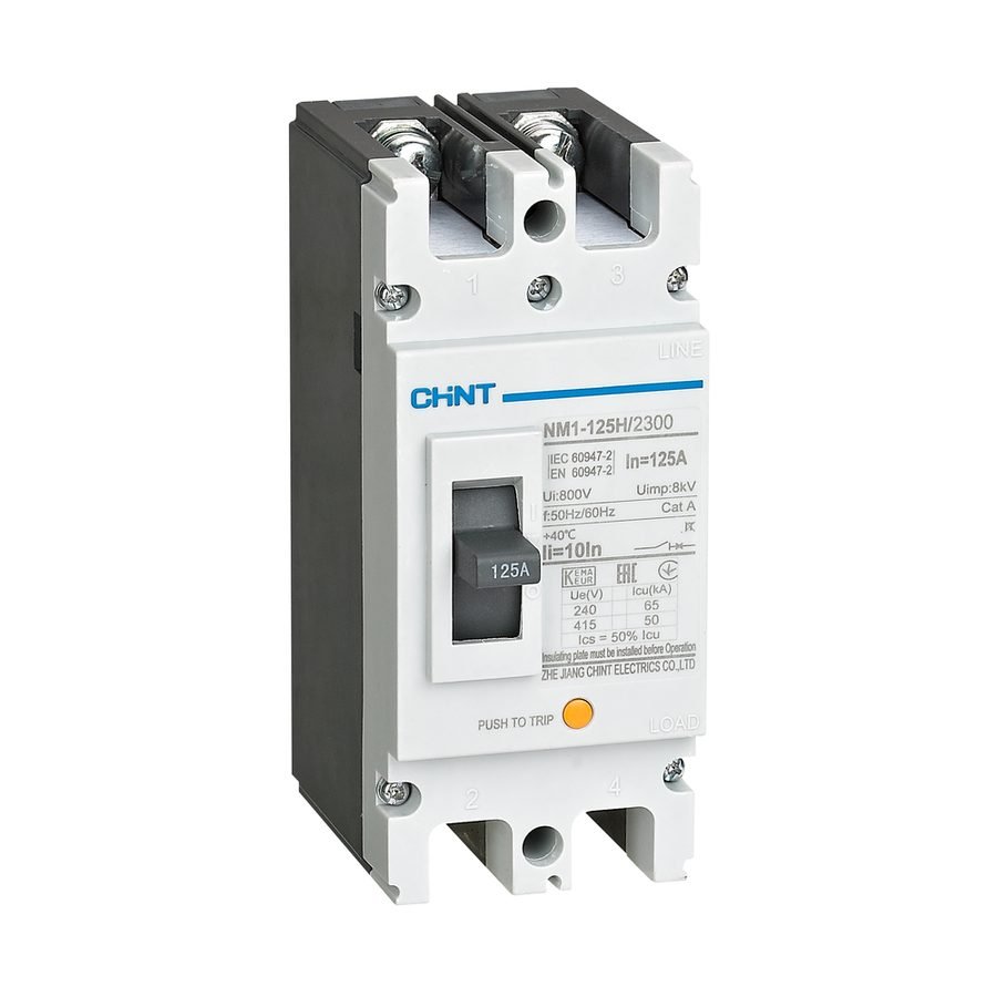 Chint NM1 (125H & 250H) /2300 Moulded Case Circuit Breaker (Type H-2 Pol — Electrical Supply, Southend Philippines