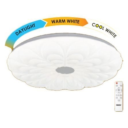 Firefly Firefly Functional Decorative LED Ceiling Lamp With Remote Control (Dais, Electrical Supply Lighting — Southend Phili