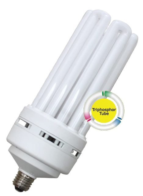 Omni Omni 6U Lamp Light, Electrical Supply Lighting — Southend Philippines