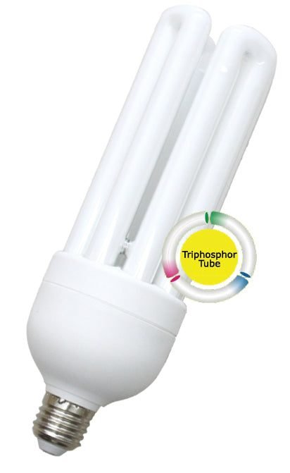 Omni Omni Quad Lamp Light, Electrical Supply Lighting — Southend Philippines