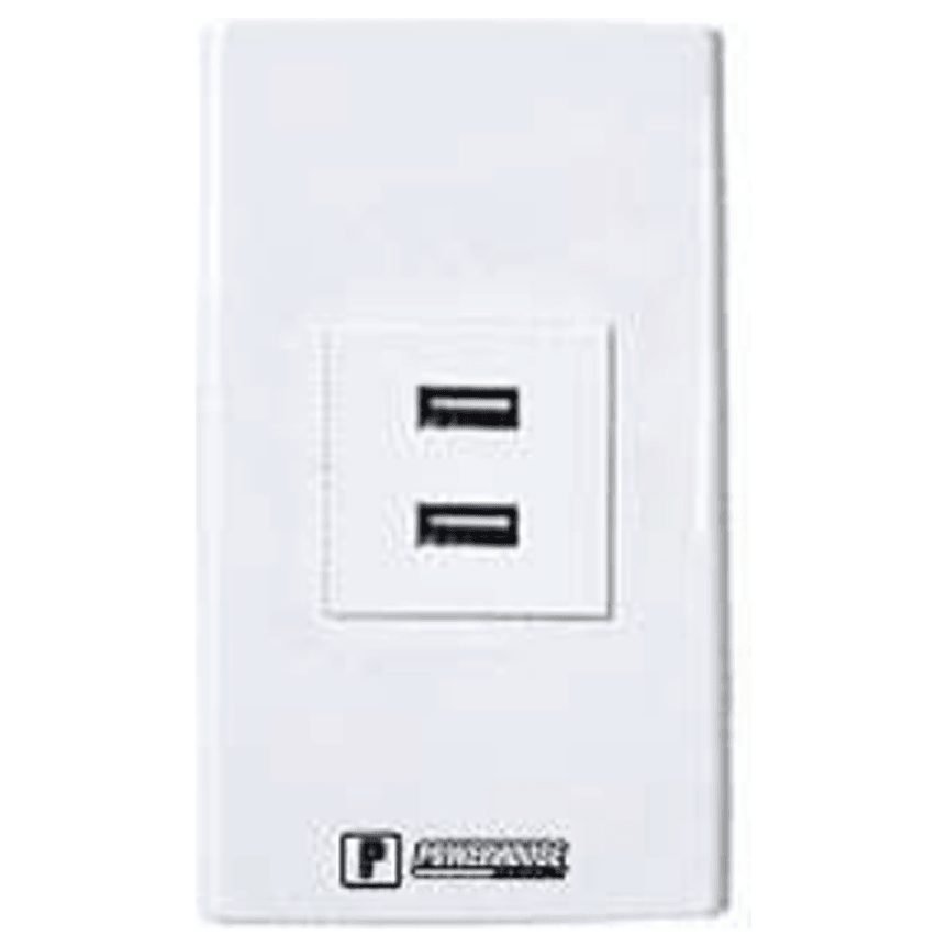 Powerhouse Powerhouse Electric 1 Gang Plate W/ USB Outlet, Electrical Supply Switches & Outlets — Southend Philippines
