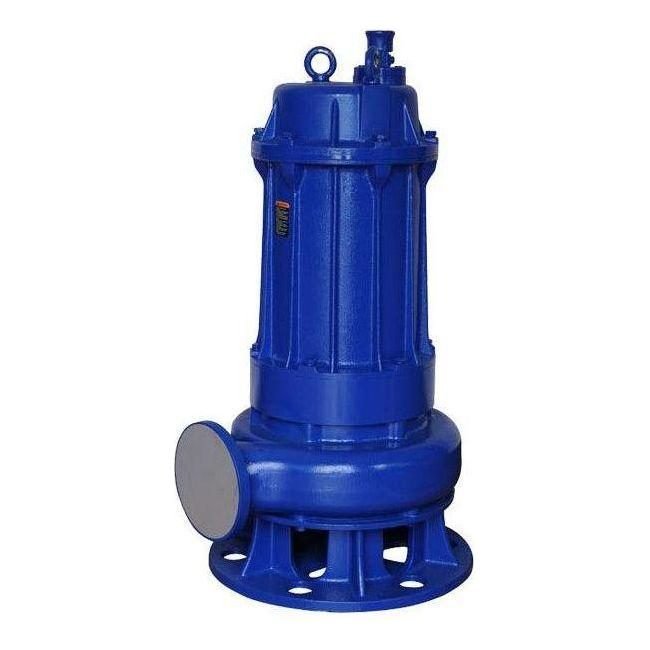 Adelino Adelino WQ Full Cast Iron Submersible Pump (Sewage / Dirty Water), Pumps & Motors Submersible Pumps — Southend Philip
