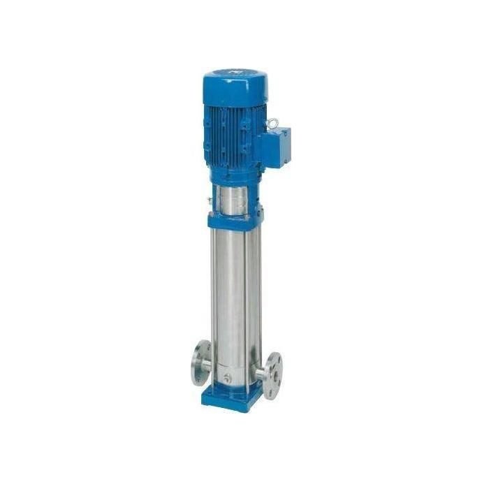 Speroni VSS Vertical Inline Pump, Pumps & Motors Pumps — Southend Philippines