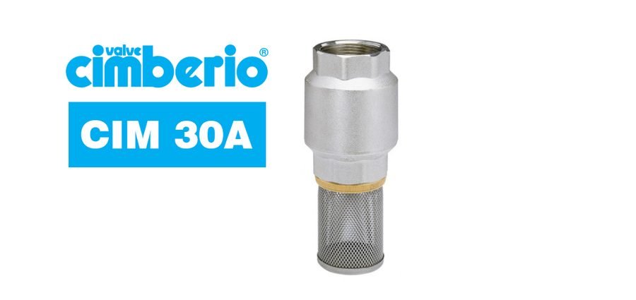 Cim 30A Sprint Spring Loaded Filtering Foot Valve – Stainless Steel Spri, Valves Check Valves — Southend Philippines