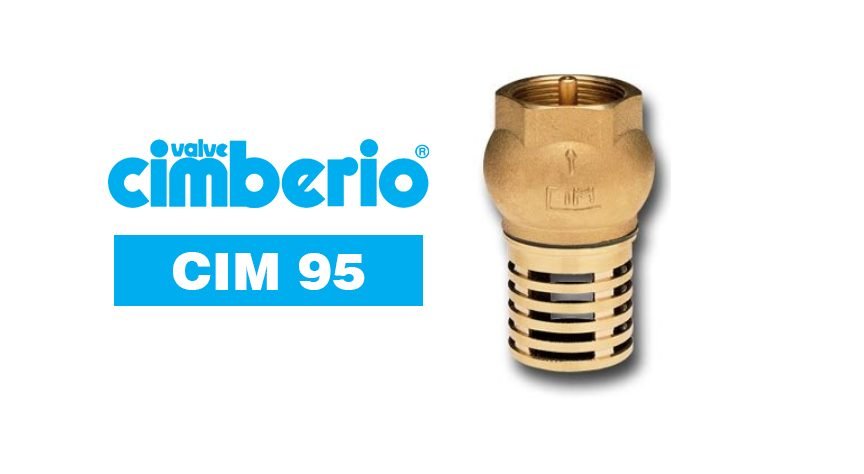 Cim 95 Filtering Foot Valve, Valves Check Valves — Southend Philippines