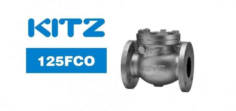 Kitz 125FCO Cast Iron Swing Check Valve