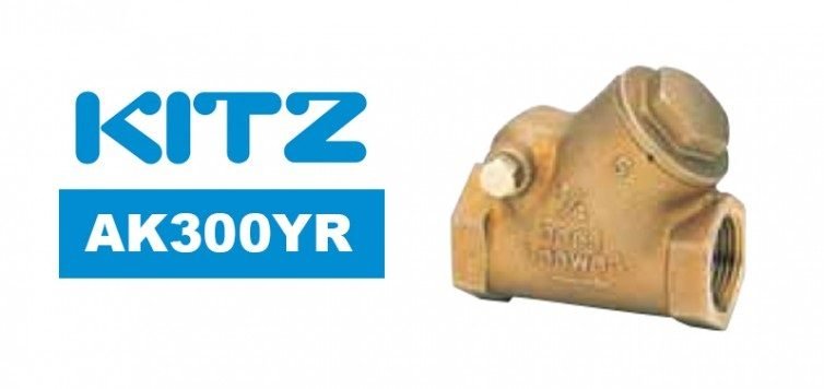Kitz Kitz AK300YR Bronze Y-Pattern Swing Check Valve, Valves Check Valves — Southend Philippines